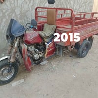 ستوتات • فحل • نثيه