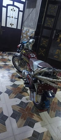 تايكر • ٢٠٢٤ • كفالة
