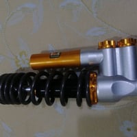 دبل ماكس • رياضي • معقل