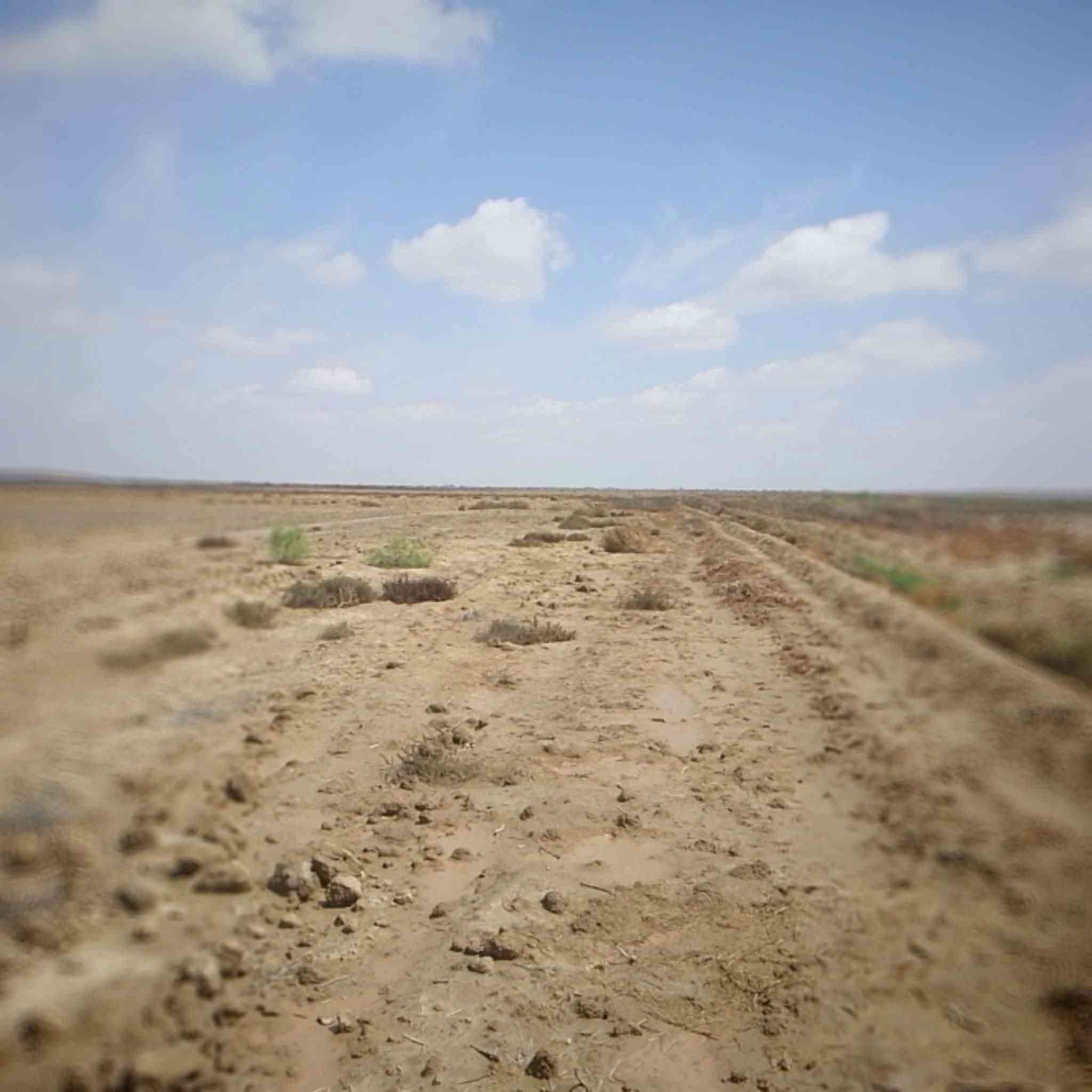 ارض زراعيه للبيع 60دونم بيه ماي وبيت وقطسات تبعد عن تبليط كيلو وعن المدرسه ومصتوصف500متر ارض زينه ما تحتاج تعديل البيت مقبط سكفه سندويج مبني صار سنتين المكان الناصريه قضاء الدوايه شط الحلو الطويله الاستفسار اكثر اتصل/***********/***********
