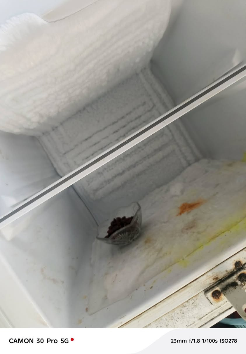 قفصين مال بلابل ب20 الف
ثلاجة اخت الجديدة  ب150 الف 
للاستفسار ***********
واتسب او مراسله الصفحة
