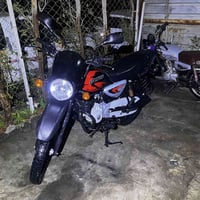 بوكسر جبلي • موديل 22 • اوراق كامله