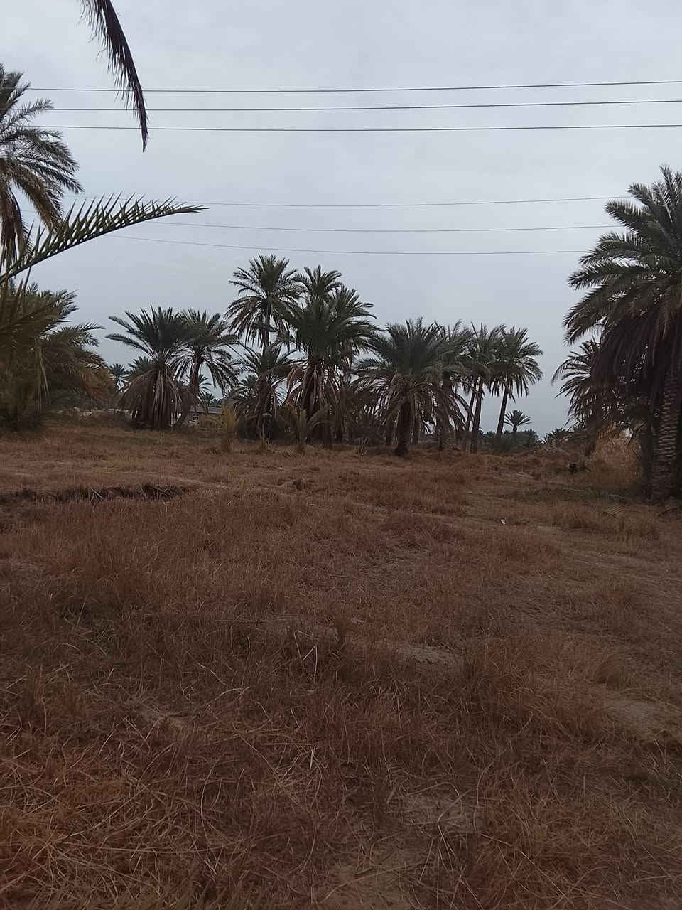 دونمين للبيع مع كافة الخدمات تبليط ماء كهرباء تحويل مباشر حله قرب سيطره الاثار سعر على الخاص


**إذا كنت صاحب هذا الإعلان وتريد حذفه لأي سبب، رجاءا أرسل رسالة إلى الدعم الفني**