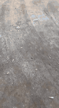 البكرلي الثانيه • شارع البوفارس • ١٥٠م