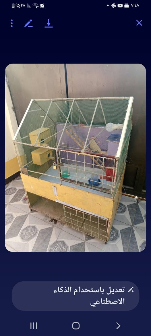 قفص لبيع السعر ٦٠ وبي مجال الاتصال بالرقم ***********
