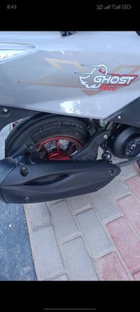 دراجة سكنس • مفتوحة • ١٠ أشهر