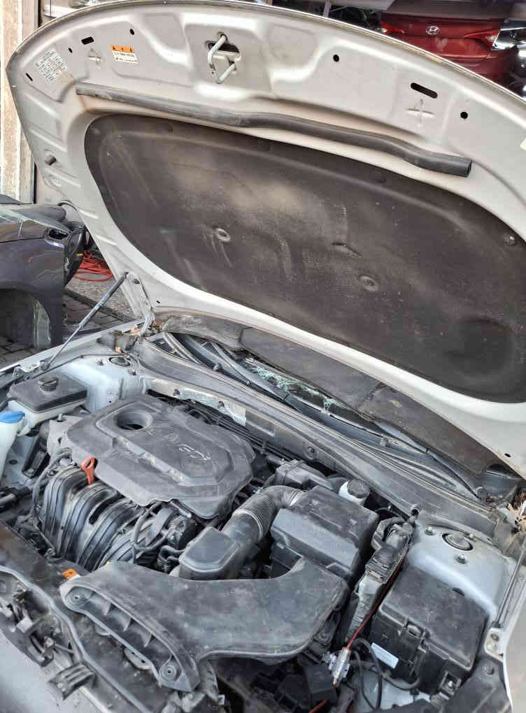 يتوفر قطع غيار اوبتما وارد امريكي
2019
2018
بغداد طالبيه
شركة الامين -لتجارة قطع غيار السيارات الكوريه 
*********** يوسف
