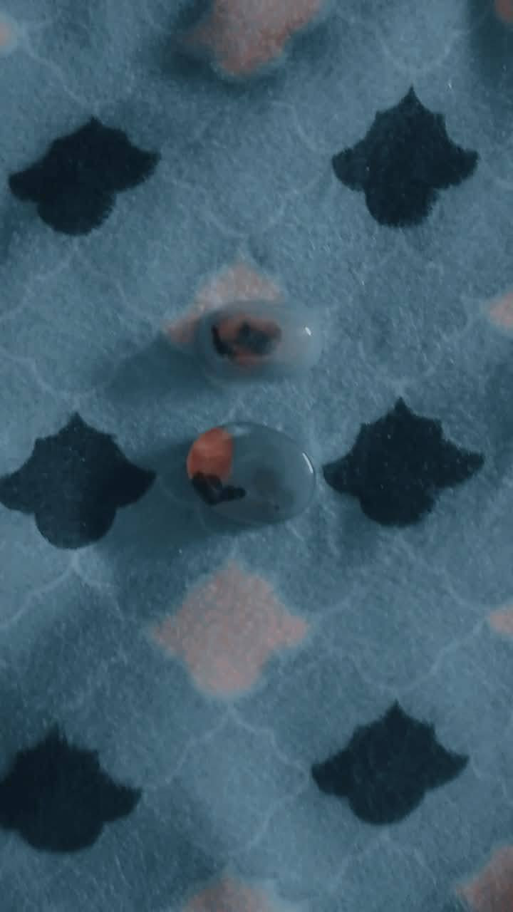 السلام عليكم للبيع
***********
