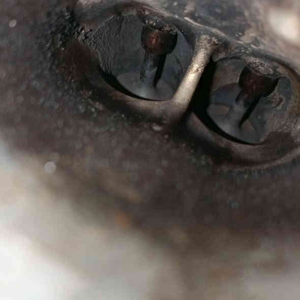 أدامة النترا 2020/ غاز بانزين بتاريخ ألاحد 2025/11/23
تنضيف غرف الاحتراق الداخلي الولفات بمادة قشور الجوز 
تنضيف النوزلات +مسطرة+فلاتر+واشرات+فايبرات
تنضيف الجويتر مع البرمجة 
تنضيف حساسات الكام شفت 
تنضيف حساسات. VVT
تنضيف حساس الماب سنسر 
تنضيف ولف التبخير 
فحص المجاول خارجيا بجهاز متخصص 
فحص الفيت بم وخط الراجع اكترونيا بالجهاز 
تنضيف سطح المحرك بفوم خاص مجدد 
برمجة السيارة بعد العمل وخلوها من الاعطال كافة 🌹 

مركز المصطفى 
بأدارة مصطفى الموسوي 
***********

العنوان السماوة حي الاعلام شارع السيراميك الرئيسي مجاور معرض الخفاجي للانشائية و آزاد للسيراميك مقابيل العالمية للزيوت
