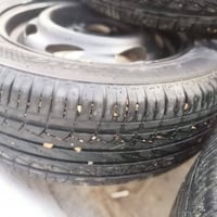 تاير 14 • افيو اوبترا • بلكوت