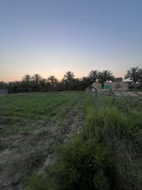 النخيلة الغربيه • ١٥٠٠م • واجهة ٣٤م