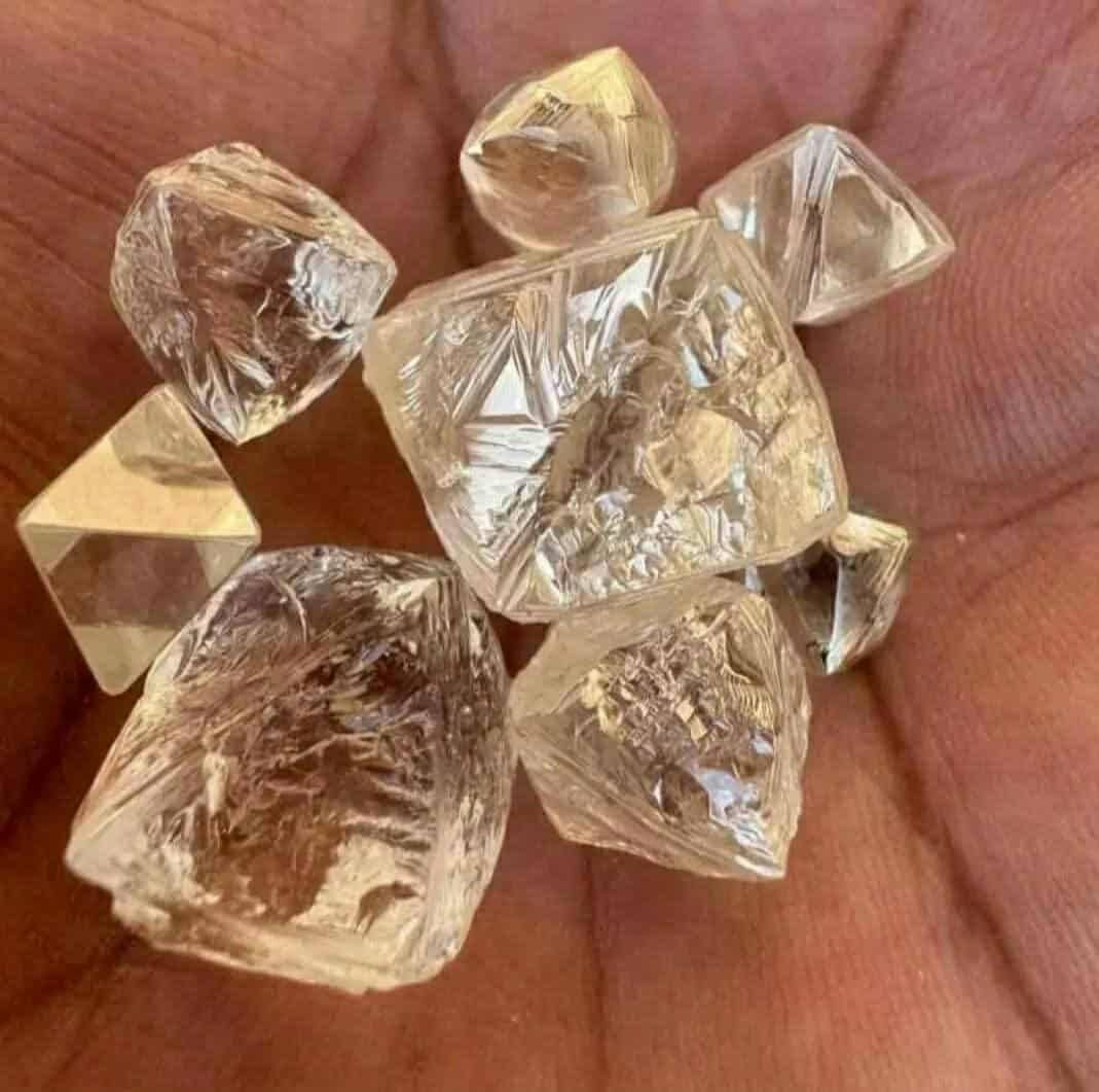 Natural rough diamond
Vvs1
200 usd per ct


**إذا كنت صاحب هذا الإعلان وتريد حذفه لأي سبب، رجاءا أرسل رسالة إلى الدعم الفني**
