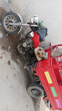 ستوته • نضيفه • بابل محاويل