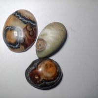 داوديات • اكسسوارات شخصية