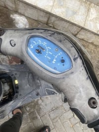 ماكس منغولي • نضيفه • ٣اشهر