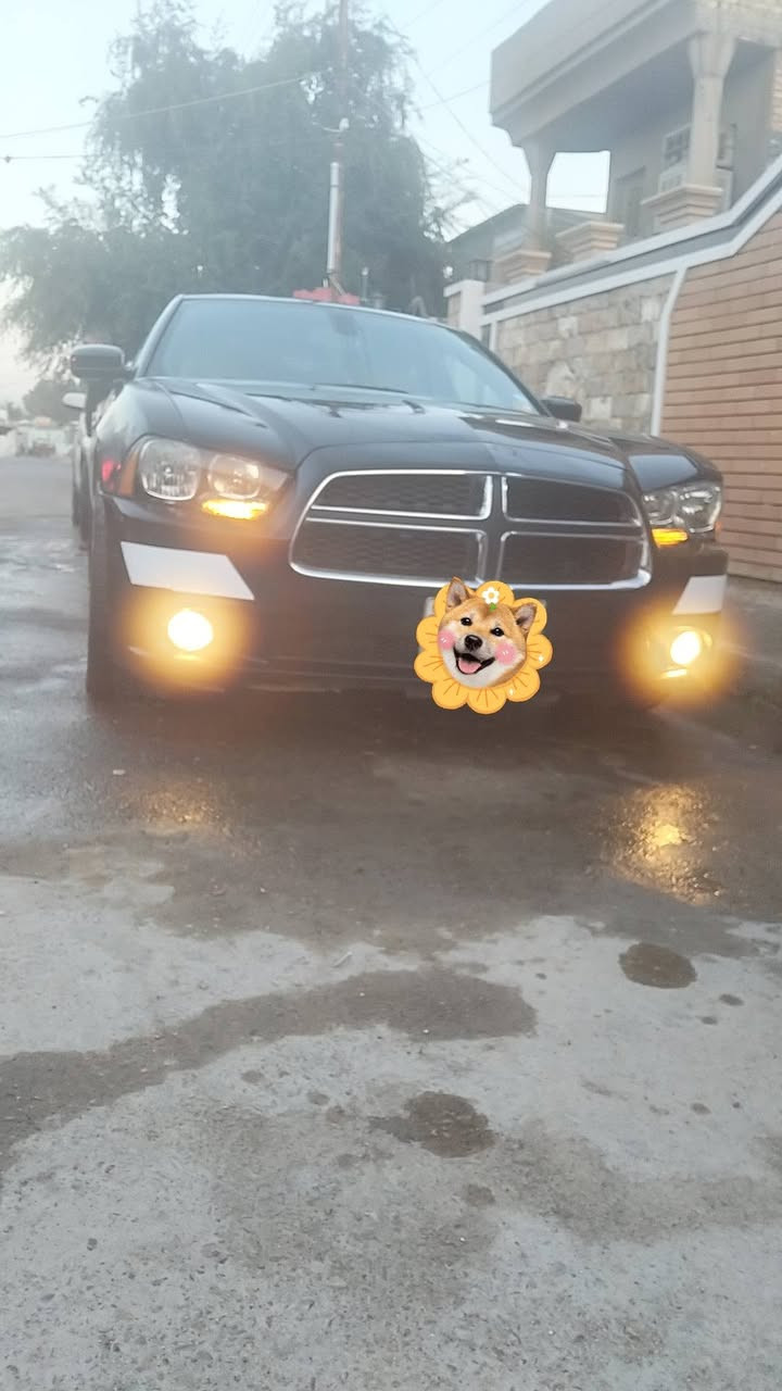 كفاله من الكص جاجر سوده 14 فول واحد عل واحد مياويه يعني فول اس ارتي قطعه صبغ جاملغ كشن تبريد تاتفيه ستريت حار كلاص حار بارد سكليتر كهرباء فتحه شفتات كشن ميموري ستيرن كهرباء تخم تاير ويل كب نجمه جديد حداديه كفاله سياره جديده سعر ***********
