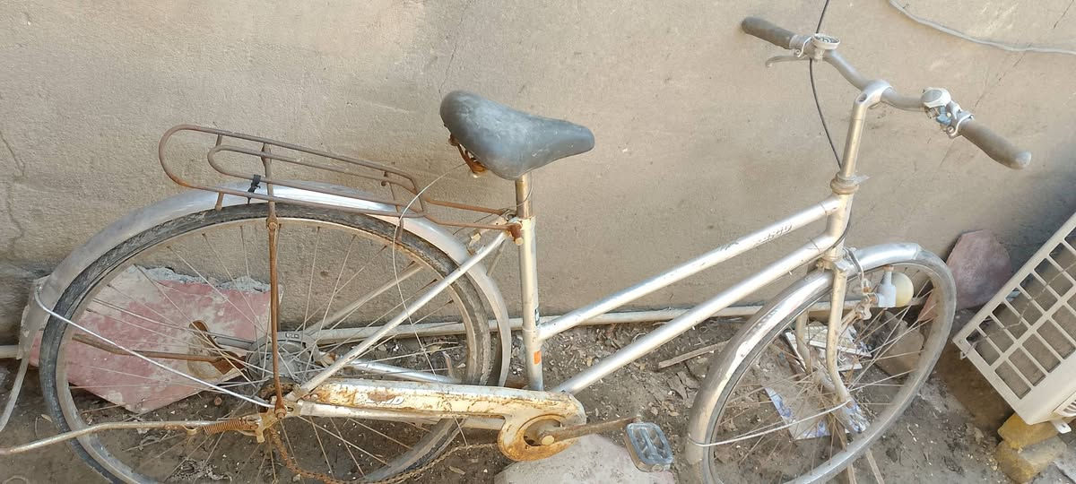 بايسكل متروك فترة نقصة بريكات سعر 50


**إذا كنت صاحب هذا الإعلان وتريد حذفه لأي سبب، رجاءا أرسل رسالة إلى الدعم الفني**