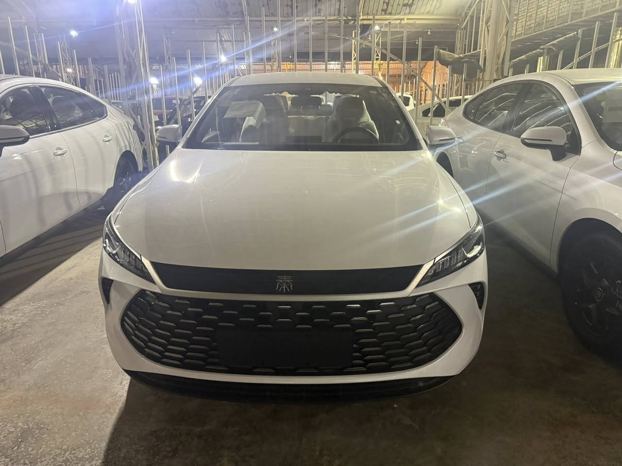 بي واي دي 2025
سيارات زيرو ترقم جميع محافظات 
السعر 116 شامل الرقم كامل 
المثنى الرميثه معرض ابداع وعلان 
تليفون ***********
