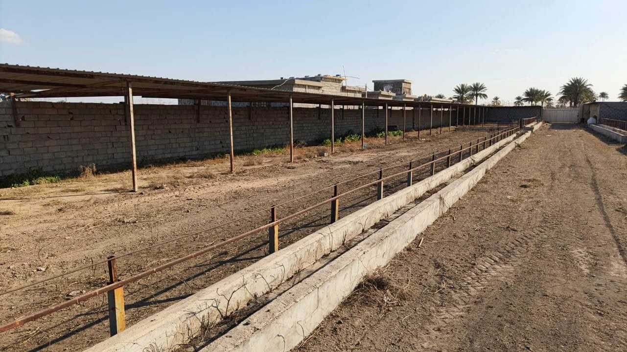 ♥️الارض موقعها ابو غريب قرب محطه جوهره العدنان
♥️الماء والكهرباء متوفره ٢٤ساعه
♥️تبعد عن الخط السريع حوالي خمس دقائق وعن الغزاليه عشر دقائق
♥️ مساحه الارض دونمين ونص واقع حال في السند دونمين 
♥️تحتوي ع حقل ابقار يتسع لاكثر من ٣٠٠بقره وايضا يوجد فيها حقل لزراعه الافطر
♥️وتحتوي ع غرف للعمال عدد الغرف ٣ بس الغرف مو بناء مفول يعني ع كد ادارة المزرعه 
♥️اما صنف الارض طابو زراعي سند ١٧ هيه جانت ١٨دونم ولكن نباعت بعض الارض منها وهاي الي بقت
♥️بخصوص السعر 325 مليون وبيها مجال 
♥️للاستفسار اكثر وصور وفيديوات يرجى التواصل مع الارقام التاليه : 
للاتصال *********** اتصال/واتساب
*********** واتساب بغداد, العراق
