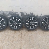 تخم ويل كب حجم 17كندي اصلي السعر ٢٥٠الف ٠٧٧١٣٥٤٦٤٥٩