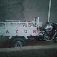 ستوته • مديل ٢٠ • أوراق بواحد