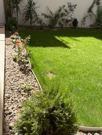 مستعدون لقص الثيل 🌿 وتقليم الاشجار كافه وزراعه الورد 🌲 وعمل المقرنص مع...
