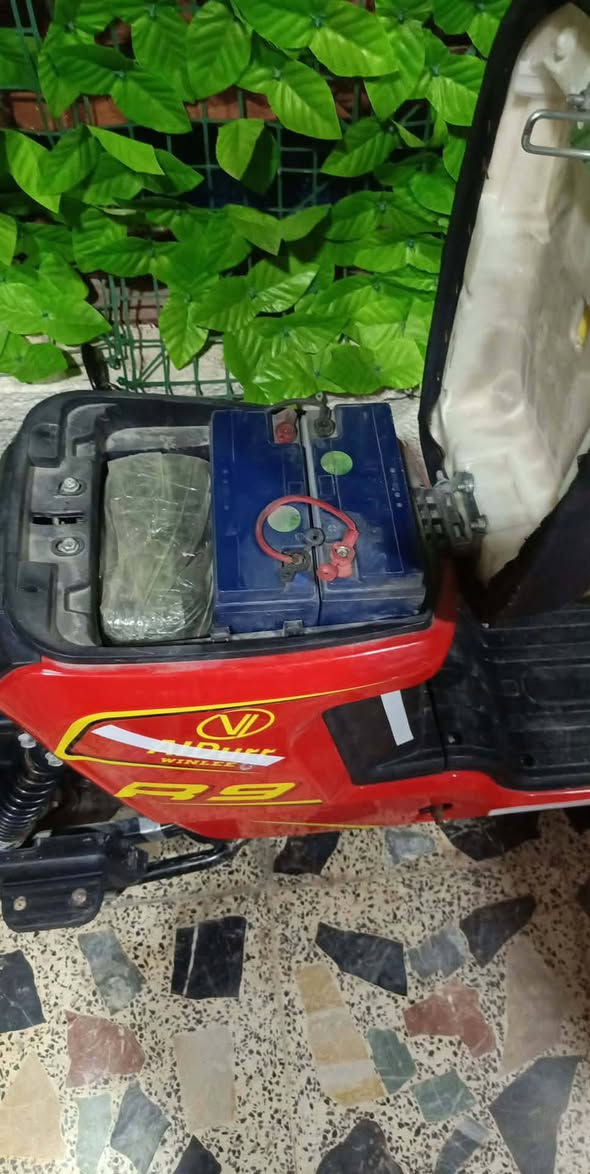 ار تسعه للبيع
السعر 350وبيها مجال 

دراجه شغاله وكامله من جميع هورن ولايت بطاريات شغاله 
السله موجوده والتكيه فاتحهن 

بس اكو ملاحضات 

بوربرنك امامي وباقي ملاحضتين نقص غيره ماكو


**إذا كنت صاحب هذا الإعلان وتريد حذفه لأي سبب، رجاءا أرسل رسالة إلى الدعم الفني**