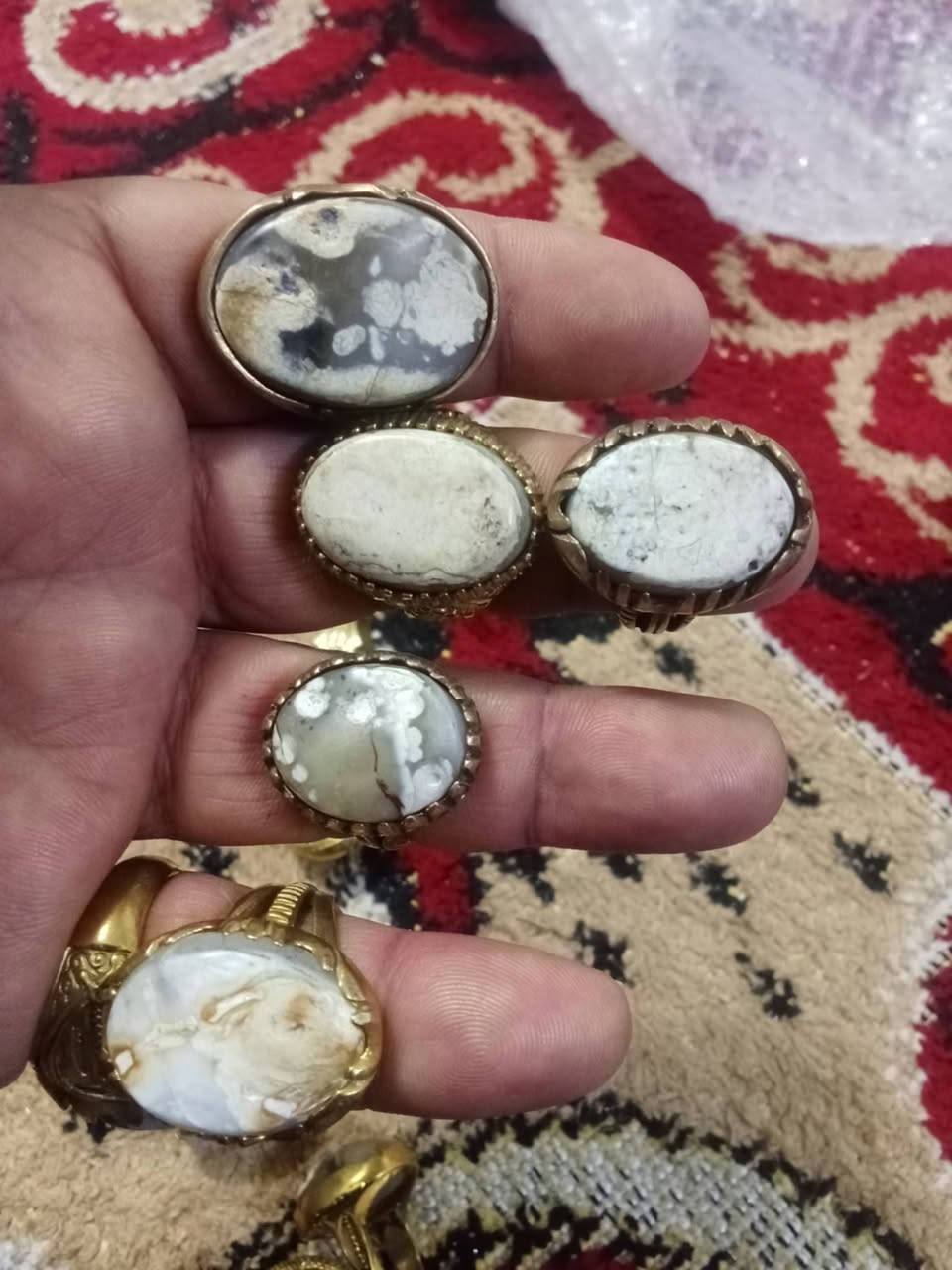 السلام عليكم شباب داودي عطف متغير الوان سعر القطعه ٥ الف مدينه الصدر


**إذا كنت صاحب هذا الإعلان وتريد حذفه لأي سبب، رجاءا أرسل رسالة إلى الدعم الفني**