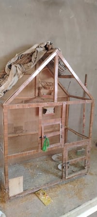 قفص طيور • نظيف • بغداد حي البتول