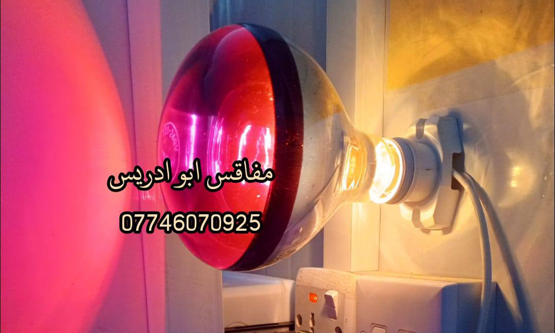 يالله متوفر مصابيح الحرارية تحت الاشعه الحمراء المعوضة لأشعة الشمس  السعر فقط خمسة آلاف
فوائد المصابيح🌞💛💡
 يعتبر من أفضل الوسائل للتدفئة لأن ينطي حرارة تشبه حرارة الشمس الطبيعية ويفيد بالحاضنات والاقفاص والمزارع  ويشتغل بكفاءة عالية يساعد على تنشيف الأرضية ويقلل الرطوبة ويقتل الجراثيم و متوفر توصيل لكل محافظات العراق  للحجز راسل واتساب ***********‬‏ اوراسل الصفحه   وتدللون
 #دواجن #مصابيح_شمسيه #مصباح_اشعه_حمراء #مزارع #محميات #حاضنات
