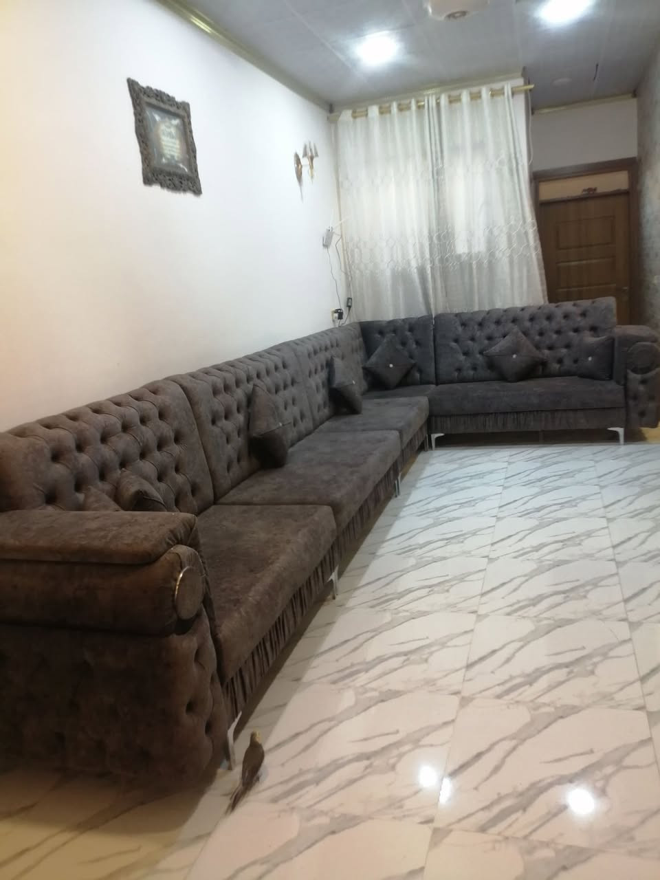 ديوان ١٥ متر خشب عراقي ثقيل توصي جديد اللون رصاصي عميق السعر ٨٥٠


**إذا كنت صاحب هذا الإعلان وتريد حذفه لأي سبب، رجاءا أرسل رسالة إلى الدعم الفني**