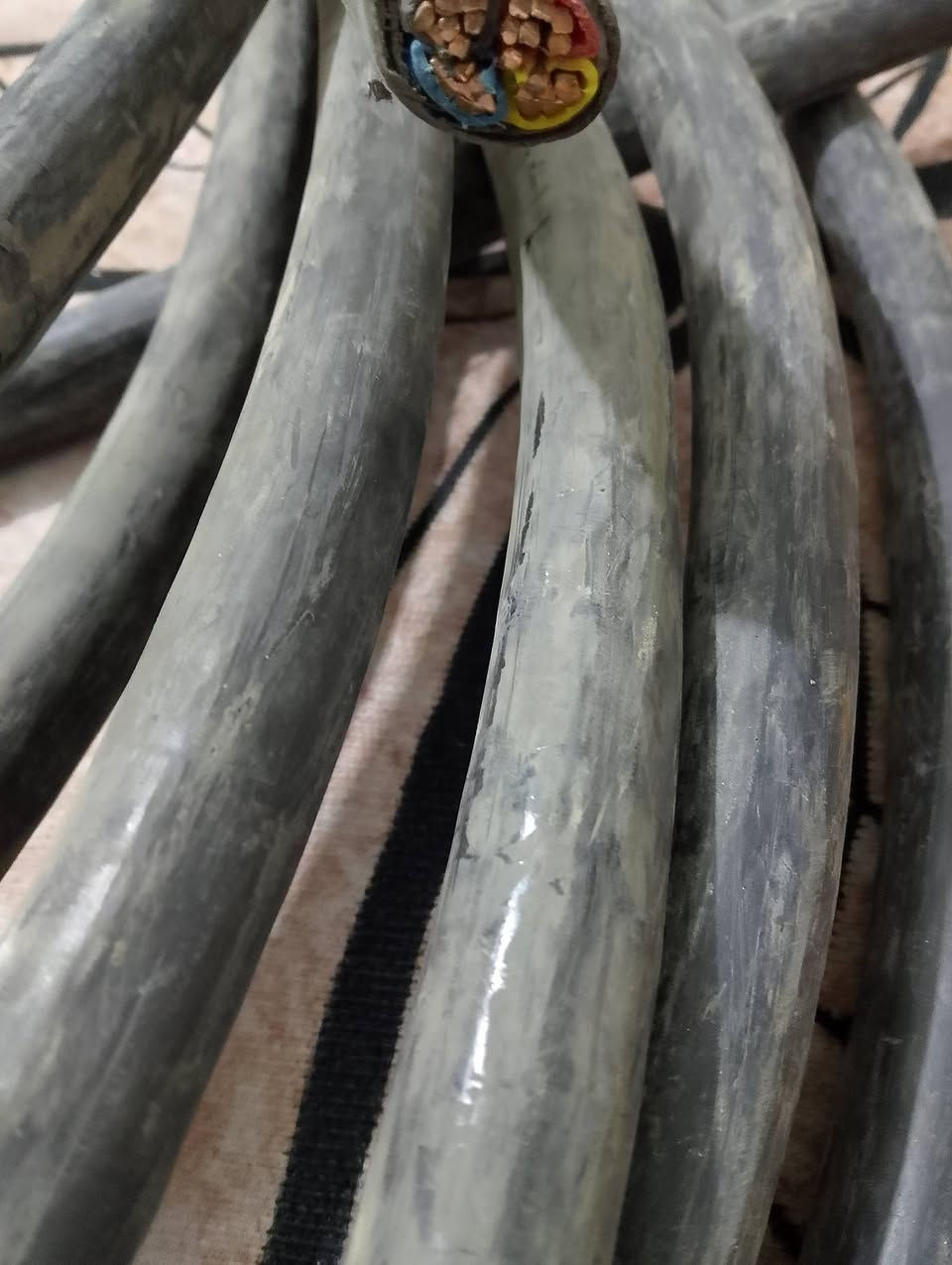 كيبل للبيع نظيف أخو جديد
4x25 المتر قفل قفل 18  الف مكاني بغداد 
مراسله على الخاص وشكرا


**إذا كنت صاحب هذا الإعلان وتريد حذفه لأي سبب، رجاءا أرسل رسالة إلى الدعم الفني**