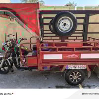 ستوته فحل • ٢٠٢١ • مرقمه