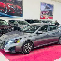 التيما SV • ٢٠٢٤ • صبغ قطعة