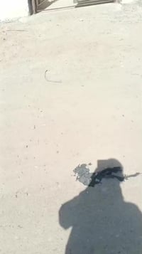 البصرة شط العرب • ١٠٠م • صرف زراعي