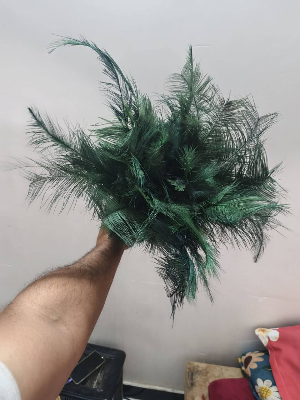 ريشة اصلية للبيع المكان النجف السعر 40 ***********
