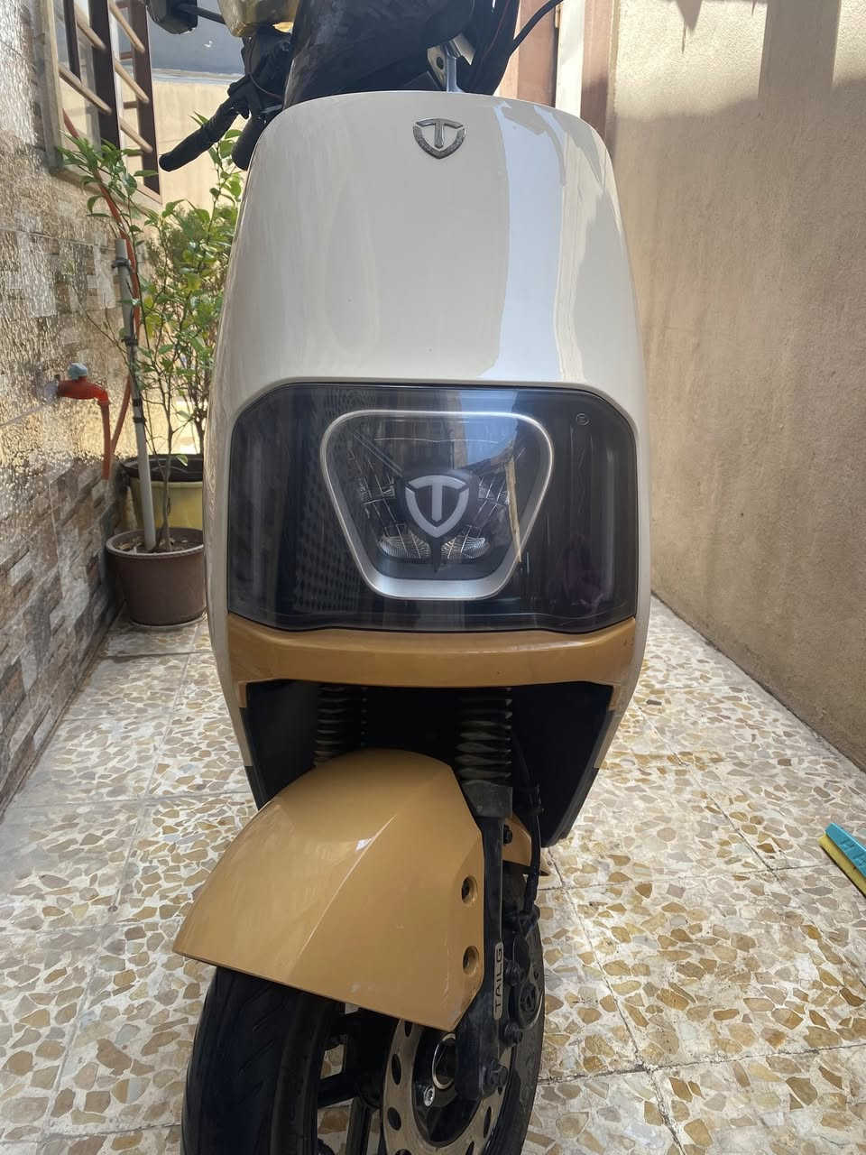 للبيع
6 بطاريات 🔋 
3 نمر سرعة
سرعة 68 حقيقي 
السعر 600 ويرهم مراوس


**إذا كنت صاحب هذا الإعلان وتريد حذفه لأي سبب، رجاءا أرسل رسالة إلى الدعم الفني**