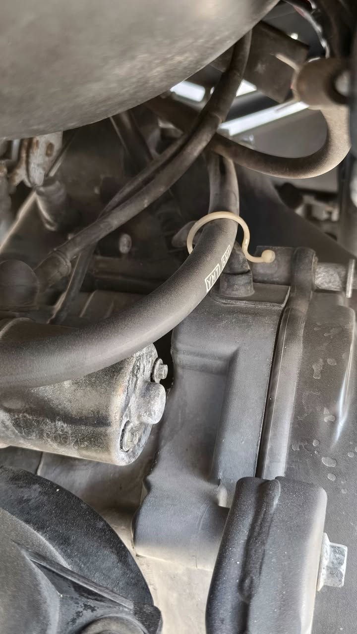 سلام عليكم ماكس منغولي للبيع كفاله  عامه من برغي لبرغي ***********
