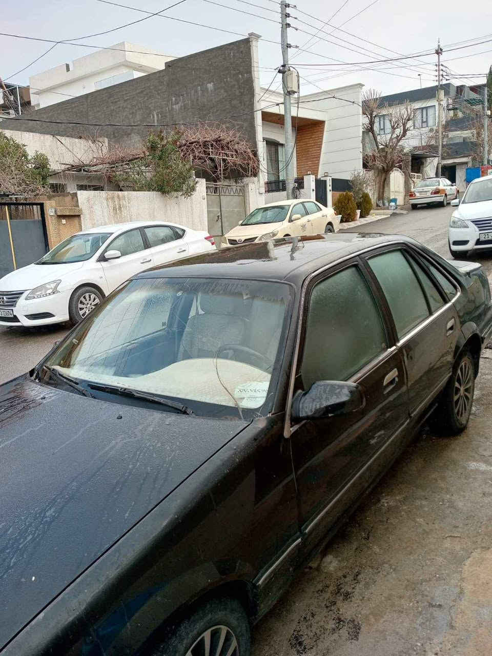 دایۆ 1994 ئاڕم سلێمانی 

18 گەڵاو معامەلە

0770 504 00 64 السليمانية, العراق
