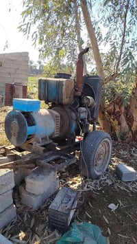 مولد صيني • ٢ بستم • بابل