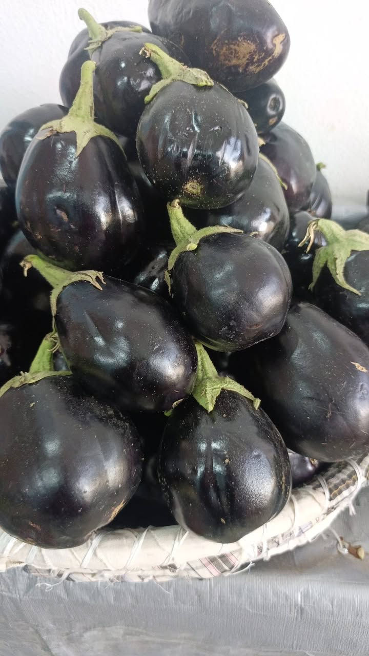 طبتم #وطابت اوقاتكم بالصلاة على الحبيب محمد 

أسعار اليوم 🔥🔥🔥

بقالية حمودي للفواكه والخضراوات 

طماطه  500

بتيته 500

خس 500

بصل 750

شجر1000

 بيذنجان 100

لهانه 750

قرنابيط 750

تفاح 750

خيار 750

فلفل 1500

لالنكي 1500

برتقال عراقي 1000

رمان 1500

موز  1000

فروله علبة 1000

خضراوات مشكل 10 ب 1000

عنوانا هيت حي الزهور الثانية نهاية شارع المتنزه قرب أسواق عبود 

يتوفر توصيل #مجاني داخل مدينة هيت


**إذا كنت صاحب هذا الإعلان وتريد حذفه لأي سبب، رجاءا أرسل رسالة إلى الدعم الفني**