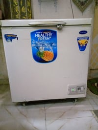 للبيع مجمدا شغاله خير من الله  للاستفسار 07708029367