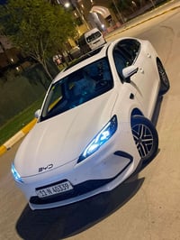 سيل ٥ • ٨٠٠٠ كم • كفالة عامه