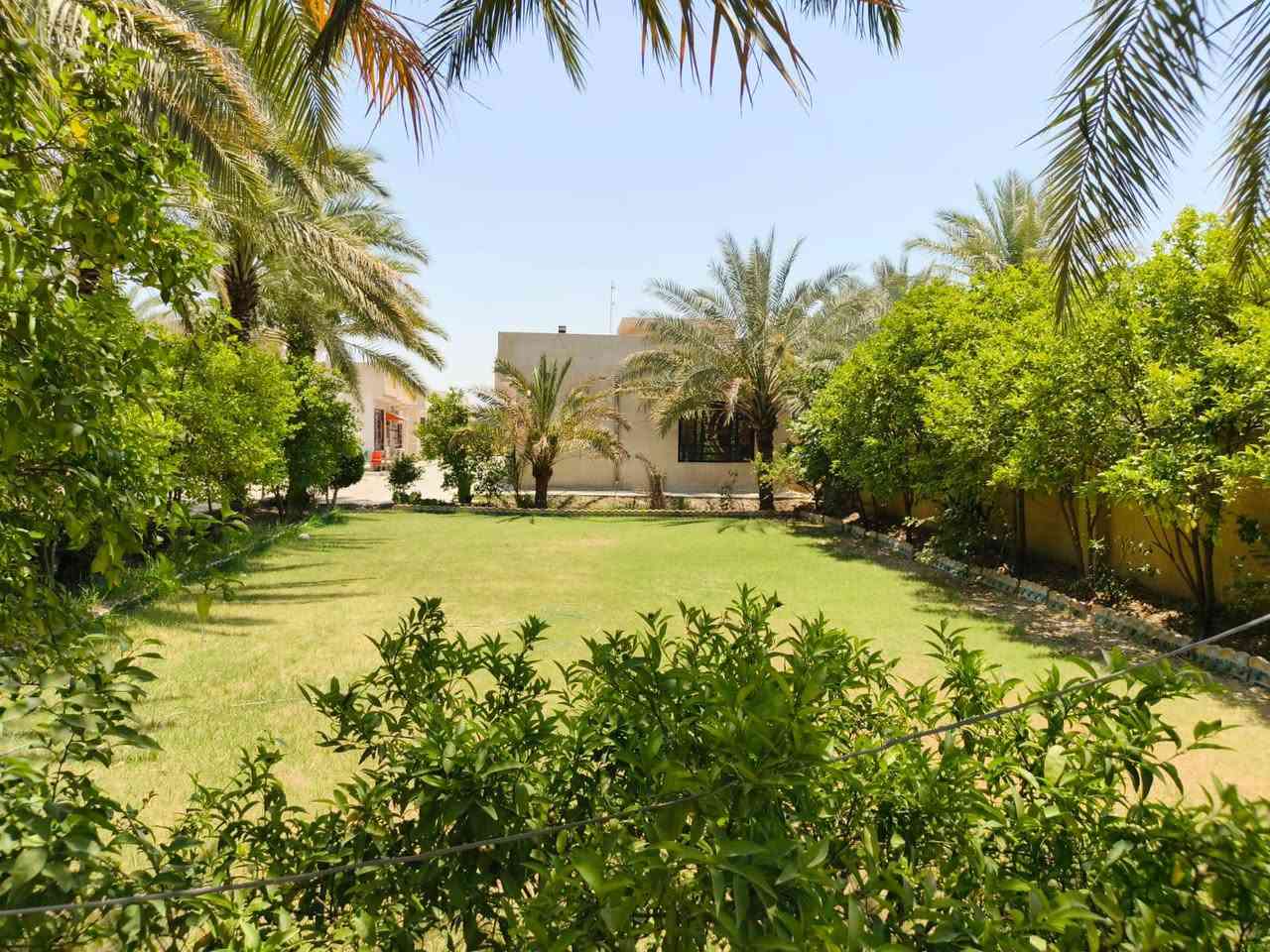السلام عليكم
للبيع 1 دونم مساحة 2500 طابو زراعي سند 25 مكون من 5 بيوت 🏠  كل بيت مساحة البناء 150م مجهز من كلشي بناء طابوق مع حديقة 🏡 واسعة ونخيل 🌴وكراج سيارات 🚗
عنوان واسط الصويرة الشاملة قرب محطة شرق البصرة يقع الدونم على شارع العام للاستفسار على الأرقام /***********
‏‪***********‬‏

