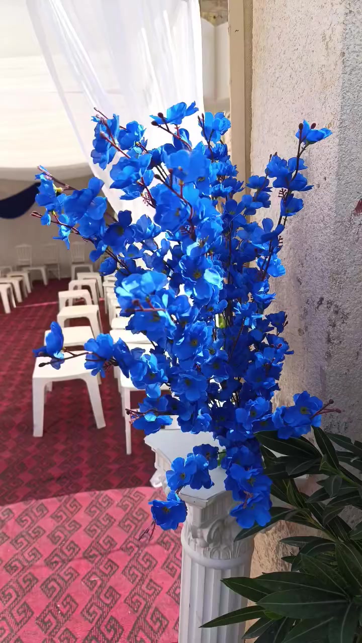 خلي خطوبتك هيه الأجمل مع نصب جادر من كوشات مشمشه لحجز ***********
