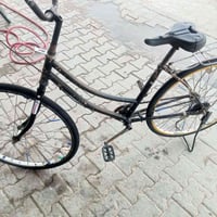 باسكل بطة • ٢٦ إنش • نجف