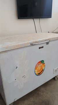 مجمده • شرط نضافه • كركوك