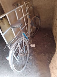 بايسكلات 26 • اثنين • الشطره حي المعلمين