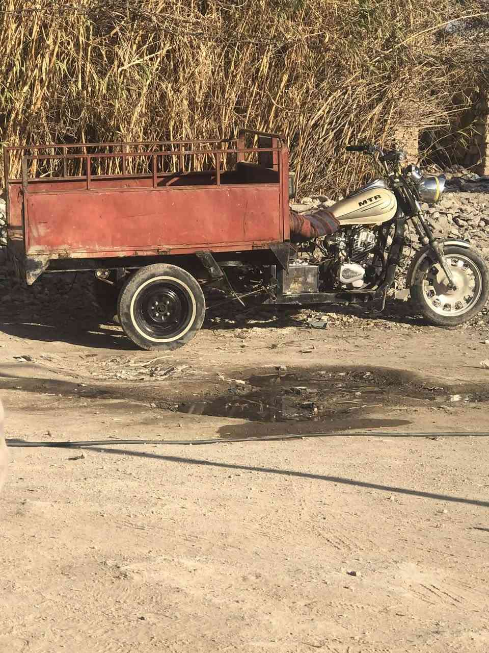 بدي مراوس مراوس بدي امتيار فقط مراوس مكان نجف حي لقدس مراوس فقط اراوسه بدي مال امتيار اي لون بدي طكه مابي بدي حديد مضبوط مال شغل خاص مفتوح


**إذا كنت صاحب هذا الإعلان وتريد حذفه لأي سبب، رجاءا أرسل رسالة إلى الدعم الفني**