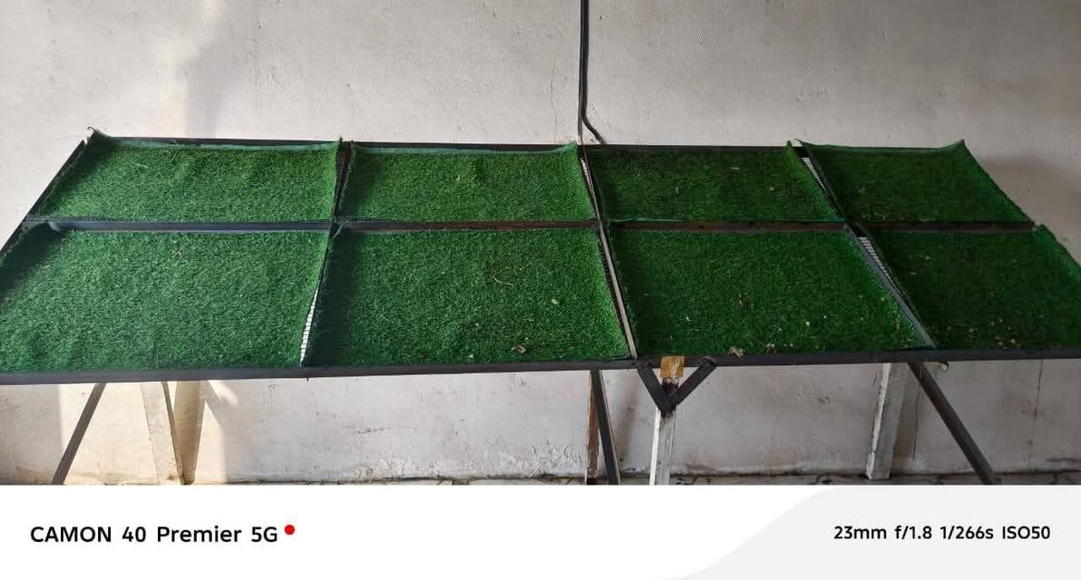 عوارض مخضر للبيع عدد 3 جاهزات
2 طولهن 2.5
1 طولها 2


**إذا كنت صاحب هذا الإعلان وتريد حذفه لأي سبب، رجاءا أرسل رسالة إلى الدعم الفني**